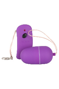 Vibratie ei met afstand bediening paars