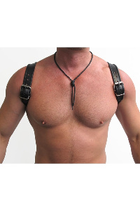 Mister B leren halter harnas