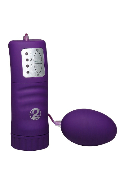Vibro bullet paars