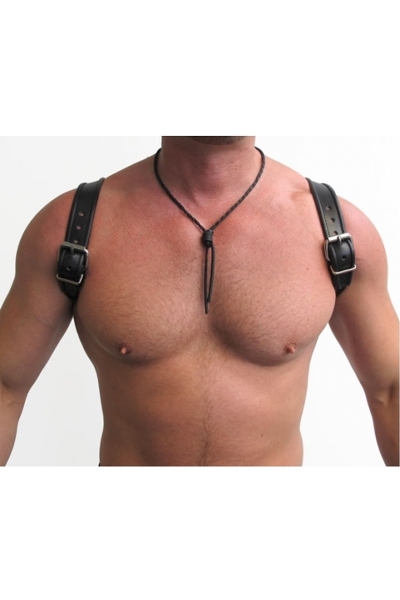Mister B leren halter harnas