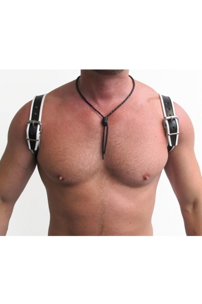 Mister B leren halter harnas