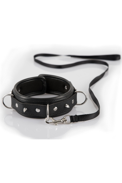 Halsband met ketting
