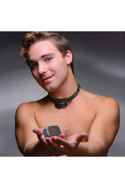 Jolt electro puppy trainer shock halsband - afbeelding 2