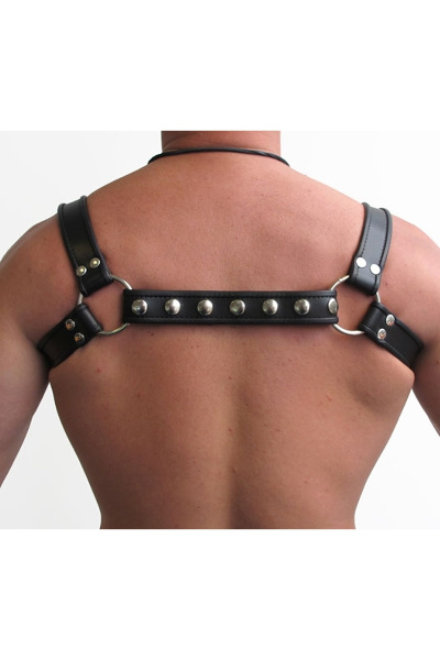 Mister B leren halter harnas - afbeelding 2