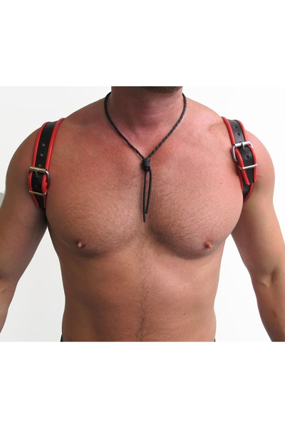 Mister B leren halter harnas