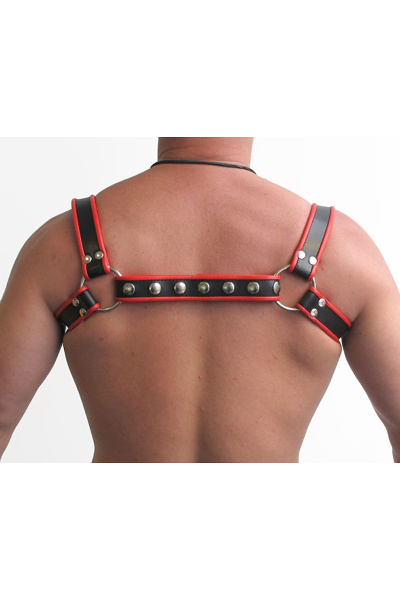 Mister B leren halter harnas - afbeelding 2
