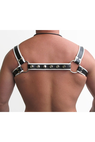 Mister B leren halter harnas - afbeelding 2